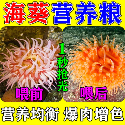 海葵饲料奶嘴珊瑚专用粮颗粒营养液大力丸纽扣小颗粒lps 混合粉末
