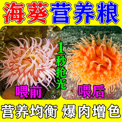 海葵饲料奶嘴珊瑚专用粮颗粒营养液大力丸纽扣小颗粒lps 混合粉末