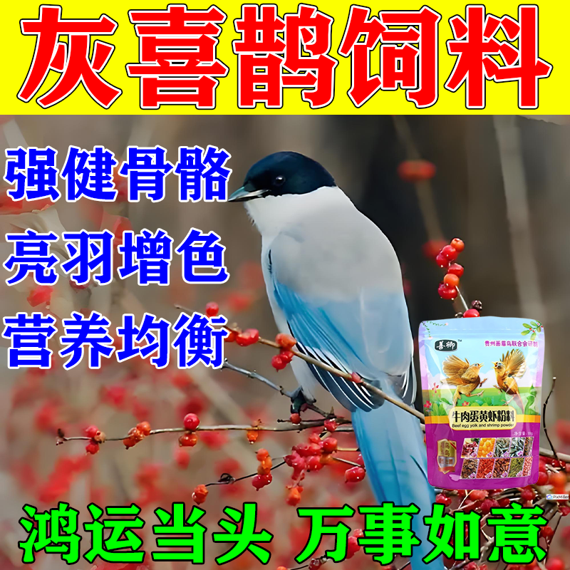 灰喜鹊鸟粮提性开口营养饲料红嘴蓝鹊松鸦通用益生菌亮羽壮膘粮食