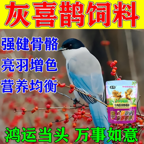 灰喜鹊鸟粮提性开口营养饲料红嘴蓝鹊松鸦通用益生菌亮羽壮膘粮食