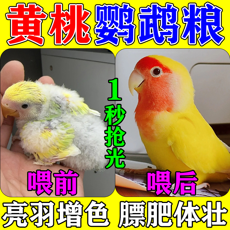 黄桃鹦鹉专用粮食中小型幼鸟食物混合营养饲料牡丹鹦鹉鸟粮滋养丸