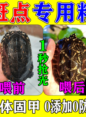 斑点龟饲料满天星斑点黑池龟专用龟粮幼小黄耳乌龟鱼虫虾干营养食