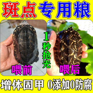 斑点龟饲料满天星斑点黑池龟专用龟粮幼小黄耳乌龟鱼虫虾干营养食
