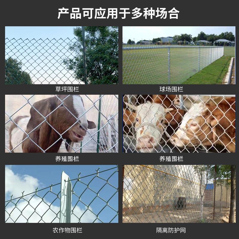 新品新品热浸镀锌铁丝网勾花网v围栏养鸡钢丝R网果园护栏网格家用