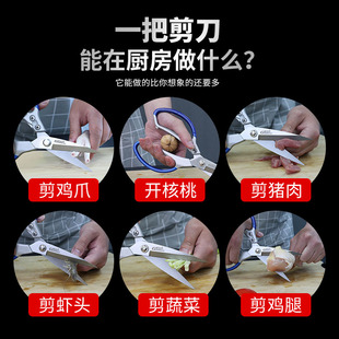 分色不锈钢多功能食物强力鸡骨杀鱼烤肉剪子 剪刀家用厨房长款