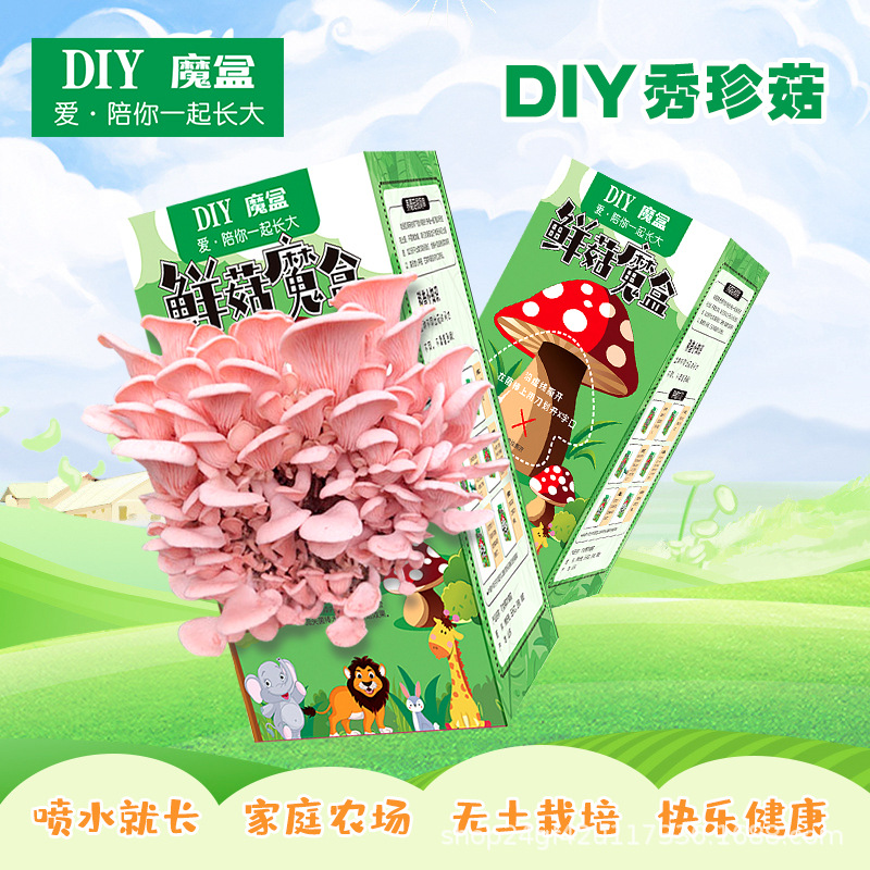 蘑菇种植菌包平菇蘑菇盒家庭室内种植蘑菇科学小实验益智玩具XH