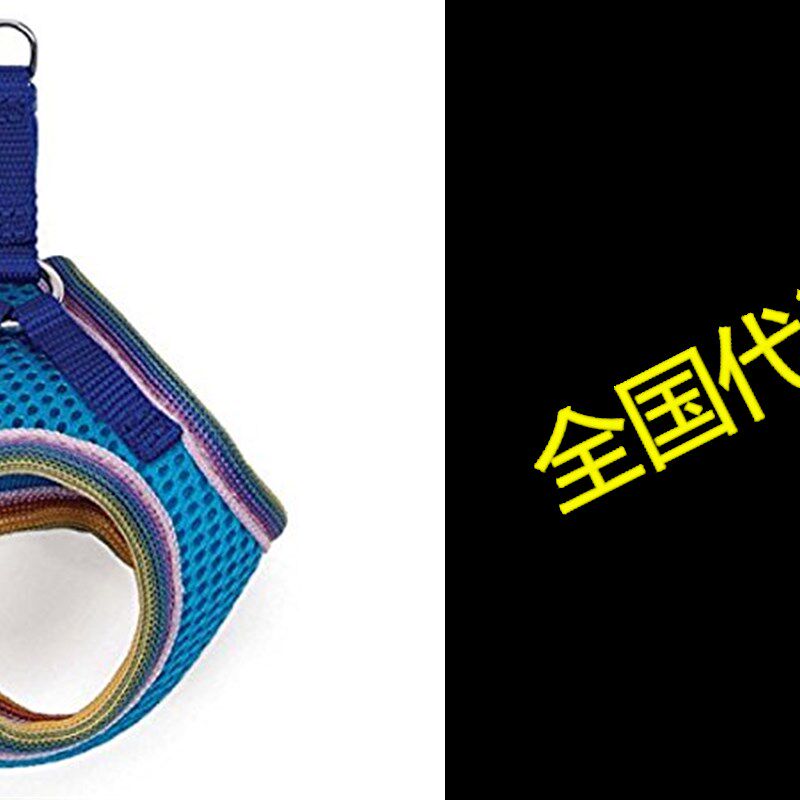 Lil Pals Mesh Comfort Mesh Adjustable Step-in Dog Harness f