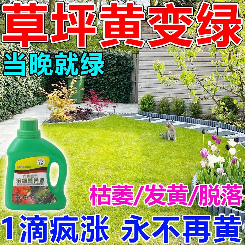 草坪增绿剂专用肥料草坪发黄干枯营养液四季用常青草皮真草生根剂