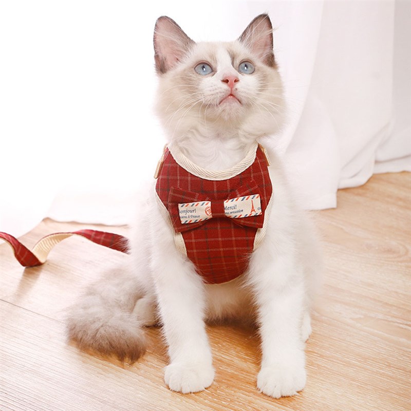 Bowknot Cat Harness and Leash Set Adjustable Puppy Harness C