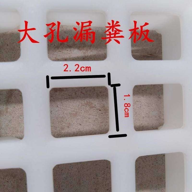 养殖鸭舍鸽子床地网网格养殖漏粪网片鸽子用塑料鸡鹅养鸡鸭鹅用漏
