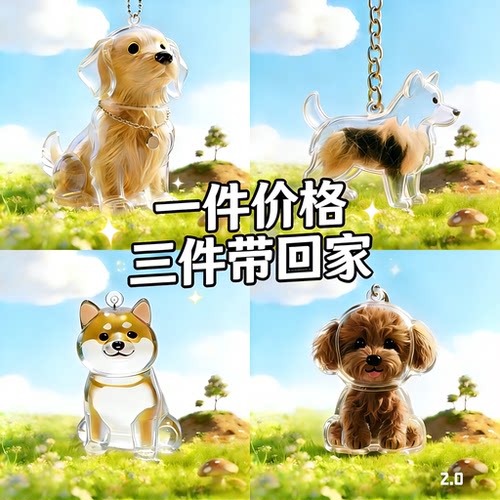 透明宠物毛发纪念收纳钥匙扣