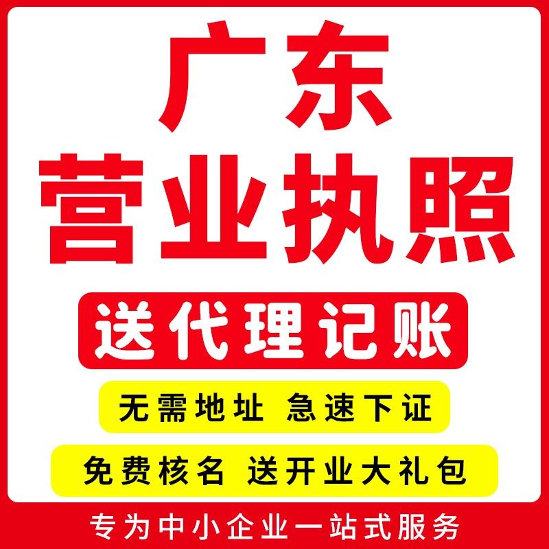 广州佛山深圳东莞代理记账注册注销营业执照零申报办理电商财务