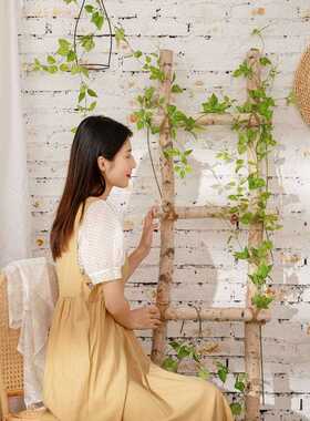 新款直销铁线吊兰蕨叶仿真花绿植物墙金钱叶假花MW35422