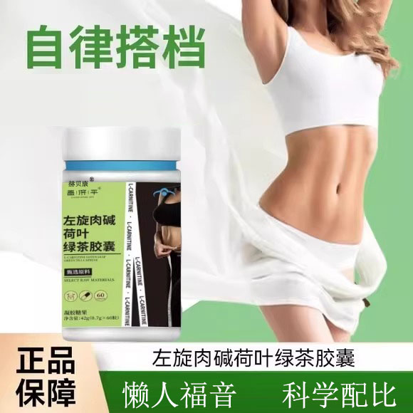 左旋肉碱荷叶胶囊男女通用卫芝之林荷叶绿茶胶囊官方正品