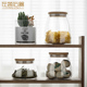 左茗右器玻璃茶叶罐密封罐收纳食品罐带盖家用大小号储存瓶子空瓶