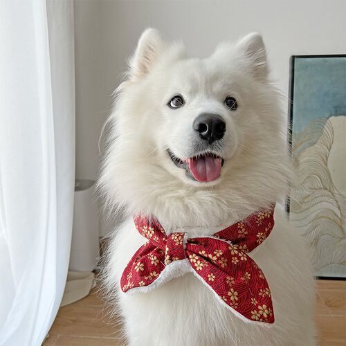 宠物新年围巾狗狗领巾可爱三角巾中大型犬金毛萨摩哈士奇边牧围脖