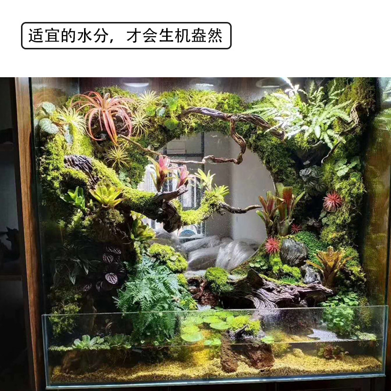 电动静音喷雾泵雨淋缸细雾室内降温细喷花草喷淋微喷泵水陆缸泵