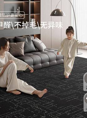 代地毯客意厅面式轻奢黑色免洗可擦现极TLA简大积防水沙发茶几地