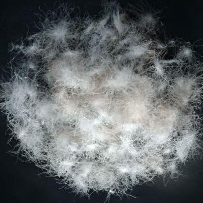 羽羽毛厂家销大6朵0灰直鹅HZS绒新国标水绒洗羽绒填充原料