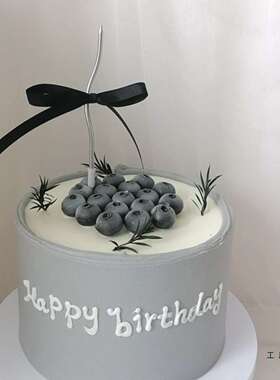 新款n风蛋糕模型黑色iF985S7J6蛋糕蓝莓g模型拍道照摄影具摆件
