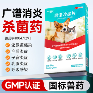 恩诺沙星片狗狗产后消炎药猫咪子宫蓄脓乳腺炎泌尿感染呼吸道炎症