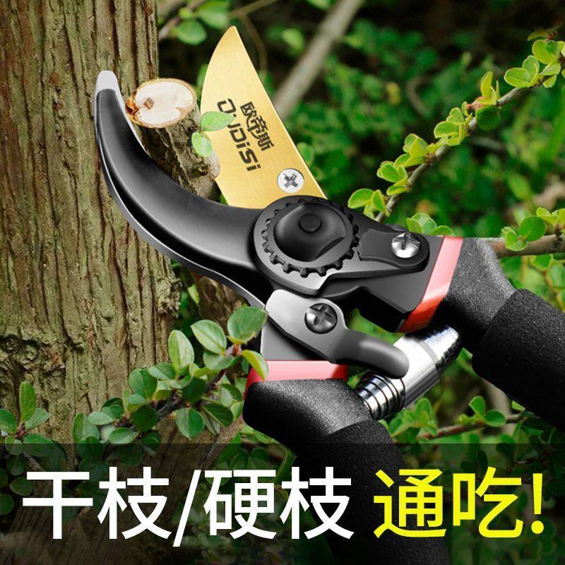 德式省力剪刀进口钢剪树剪子果树剪花枝葡萄枝家用粗枝剪修枝剪刀,五金/工具,园艺剪,淘宝优惠券,粉丝福利购,淘宝优惠卷
