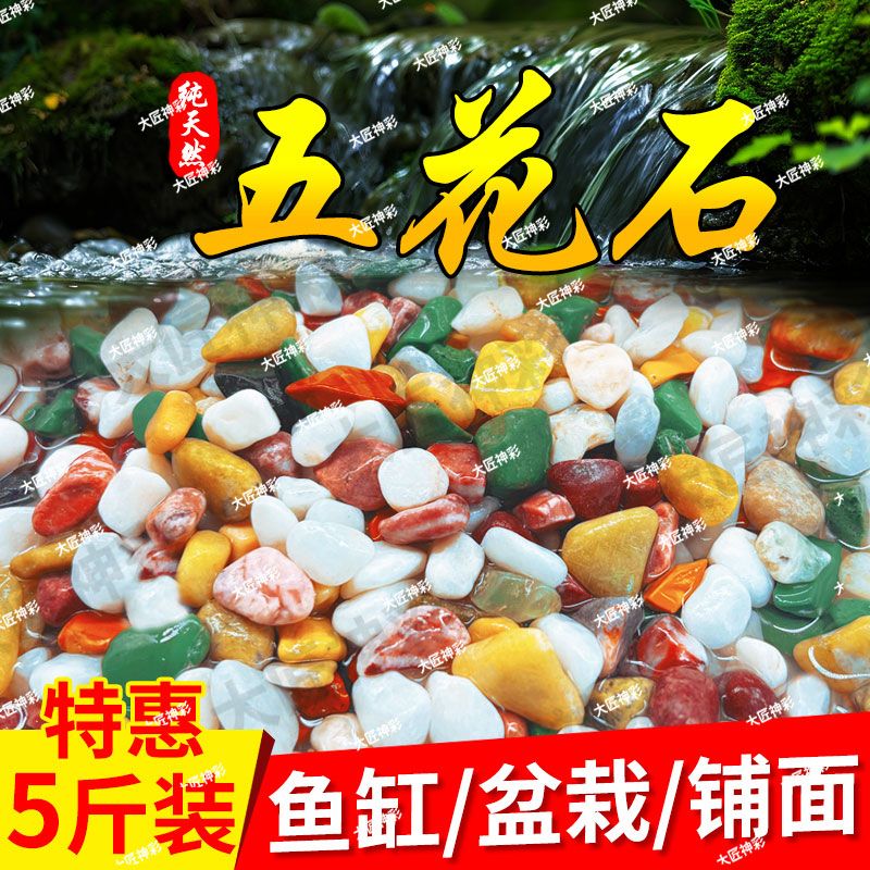 天然彩色石子五彩石花盆栽多肉铺面雨花五花石子鱼缸底砂造景装饰