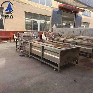 泡生BGT式产翻浪清洗设备酸菜菜气泡清洗机清洗漂风干流烫水线