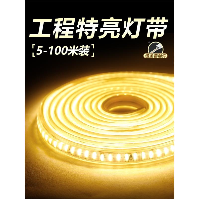 家超亮白b光co客厅三线灯A-079户外防水rgb跑马灯22色0v灯带用led
