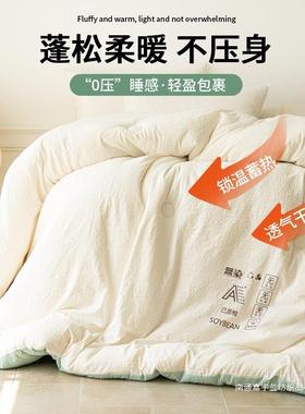 大被豆纤子芯加厚被保暖1002095冬被棉被单人学生春秋被冬季大豆