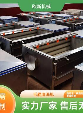 商用根茎果蔬毛辊土去类皮清机ROI水果洗去泥毛刷清洗机豆红薯去