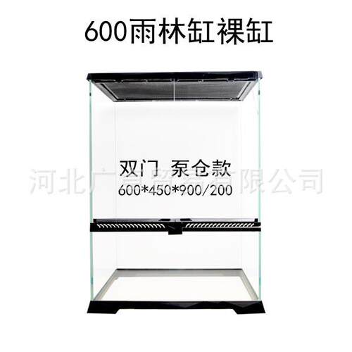 雨林缸雨淋缸林生态造缸热带雨植物蜥雨林鱼缸宫蜴爬宠爬虫守饲养