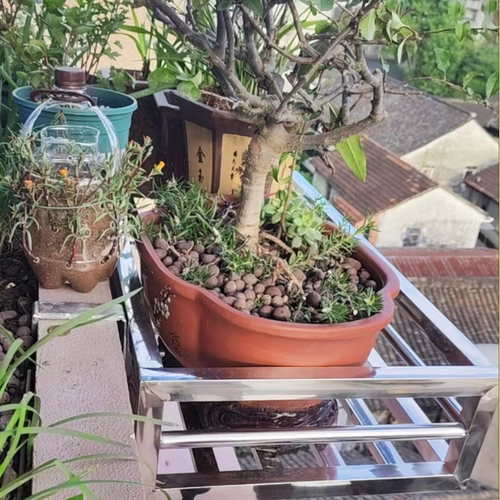 (定制)挂钩款请勿直拍窗台阳台花架种菜花盆架悬挂式花架壁挂吊兰