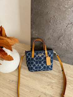 2026新款时尚百搭手提包单肩斜挎手拎包小菜篮简约小方包c家包蓝