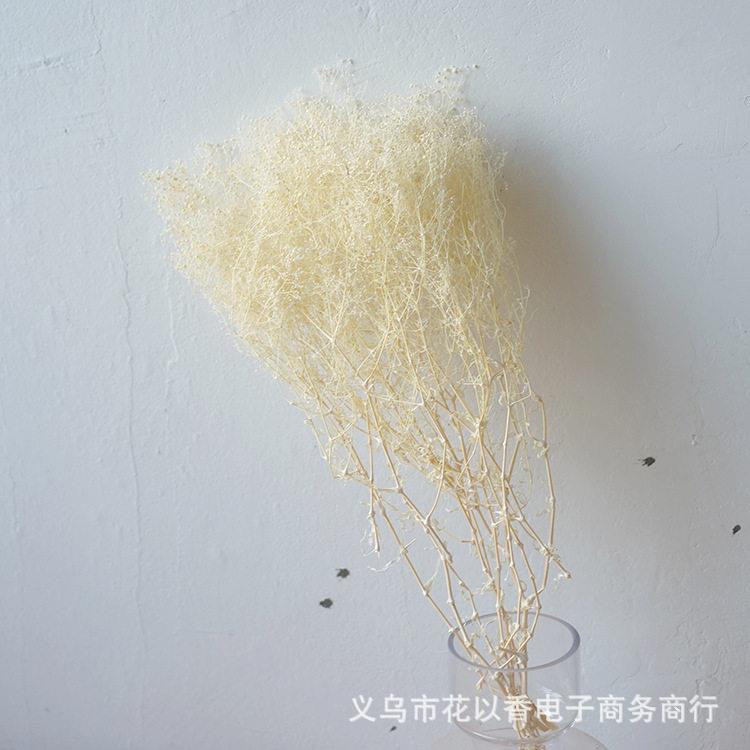 新款直销小满天星霞草插花干花diy礼盒玻璃罩制作香薰蜡片