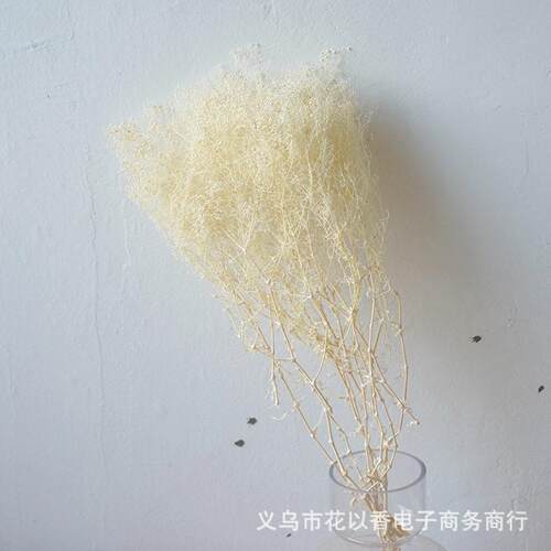 新款直销小满天星霞草插花干花diy礼盒玻璃罩制作香薰蜡片