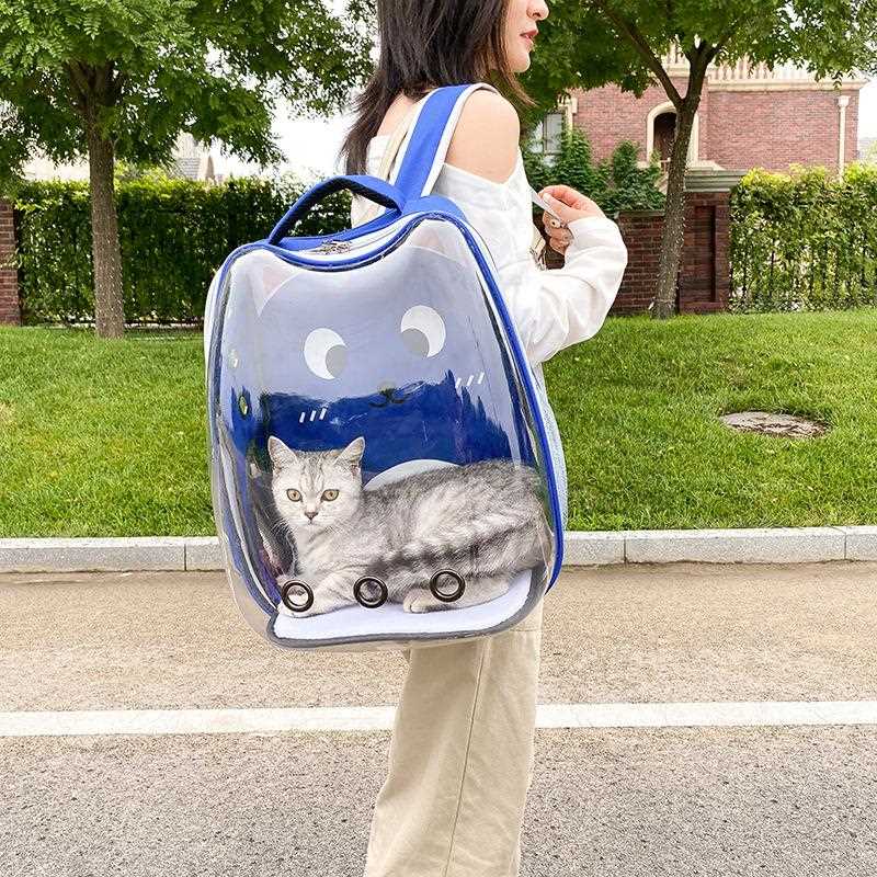 新款直销小猫咪外出包户外猫背包便携猫包宠物包PVC透明可爱宠物