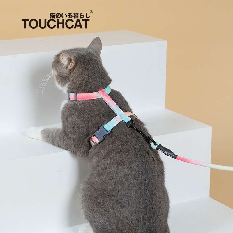 Touchcat它它猫咪牵引绳幻彩遛猫绳胸背心式防挣脱工字幼猫链子