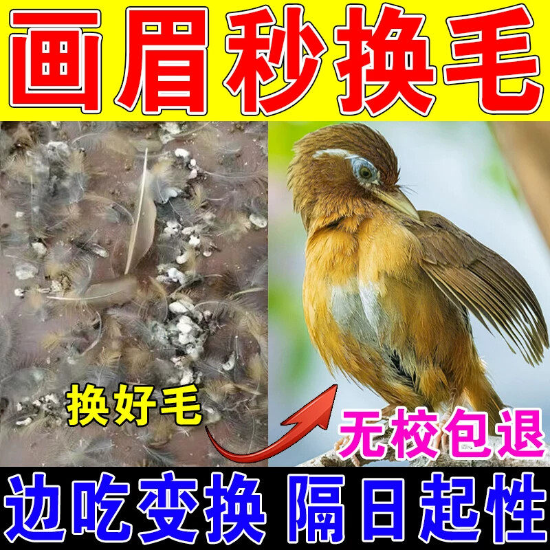 精品画眉换毛专用饲料画眉鸟提性增膘速长毛助斗唱画眉营养鸟食粮