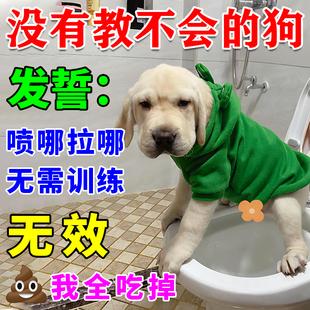 狗狗定点排便神器训练宠物小狗上厕所诱导剂引大小便尿垫定点训练