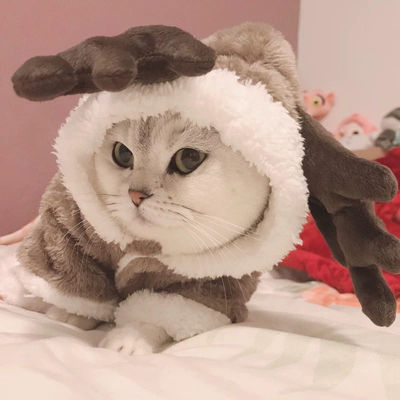 猫咪狗衣服秋冬装圣诞麋鹿