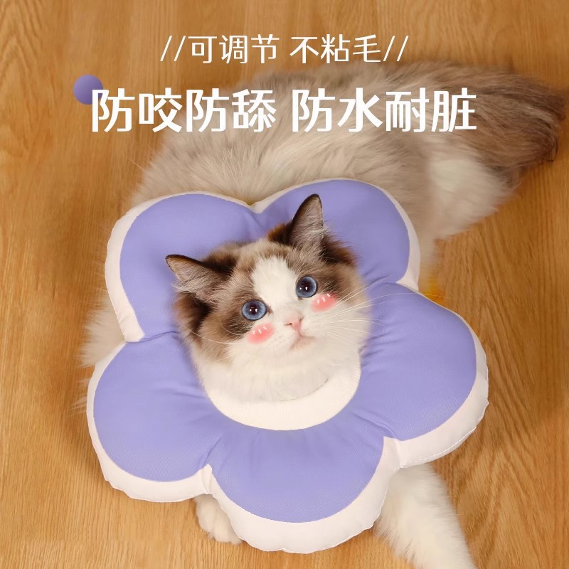 伊丽莎白圈防舔圈猫咪宠物狗头罩