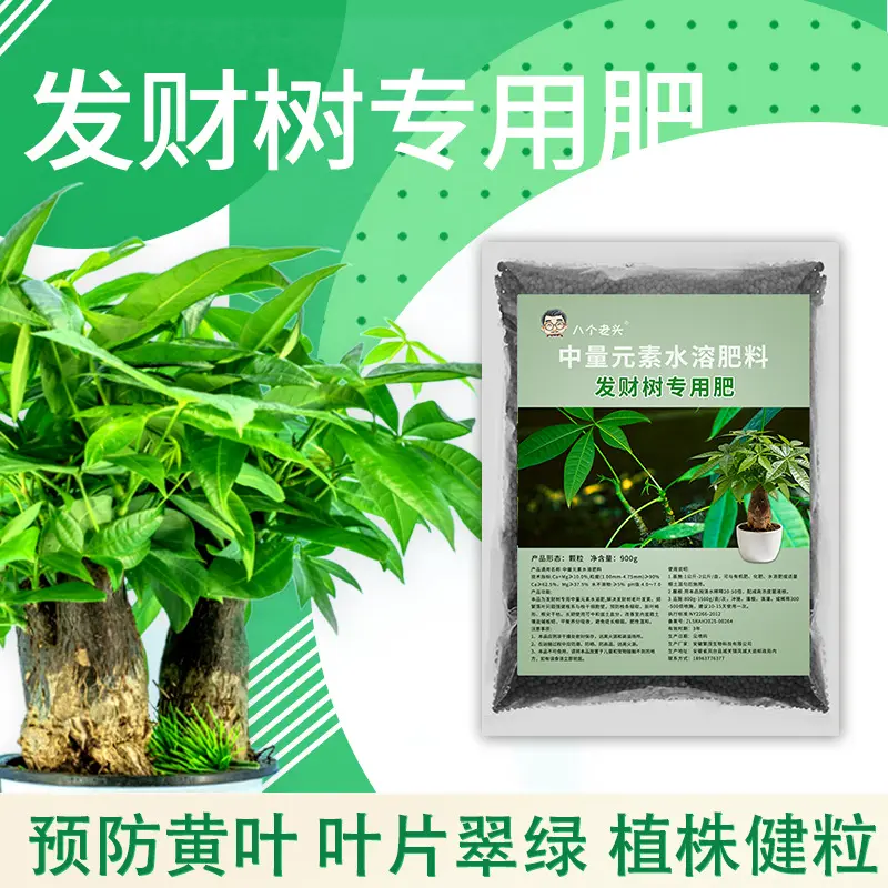 八个老头发财树专用肥增产促根