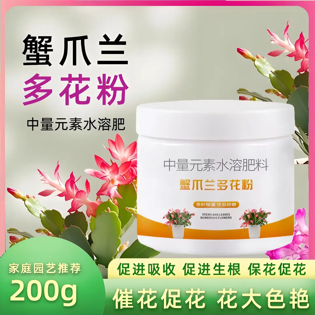 蟹爪兰多花粉专用肥开花粉爆花粉