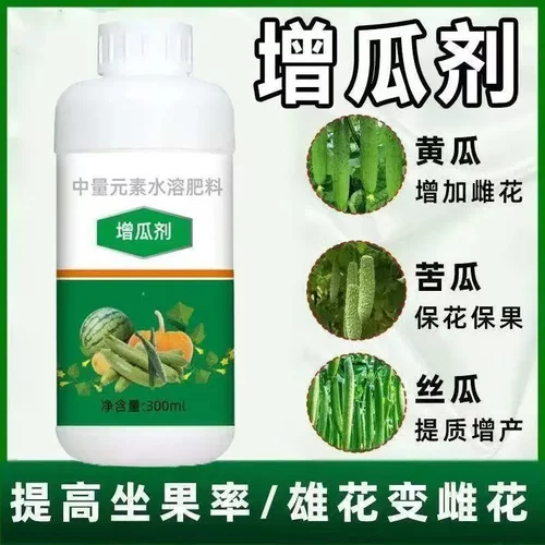 增瓜剂中量元素水溶肥料增加雌花