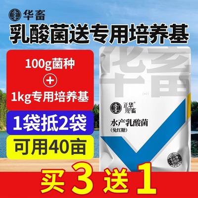 华畜乳酸菌水产养殖肥水降pH