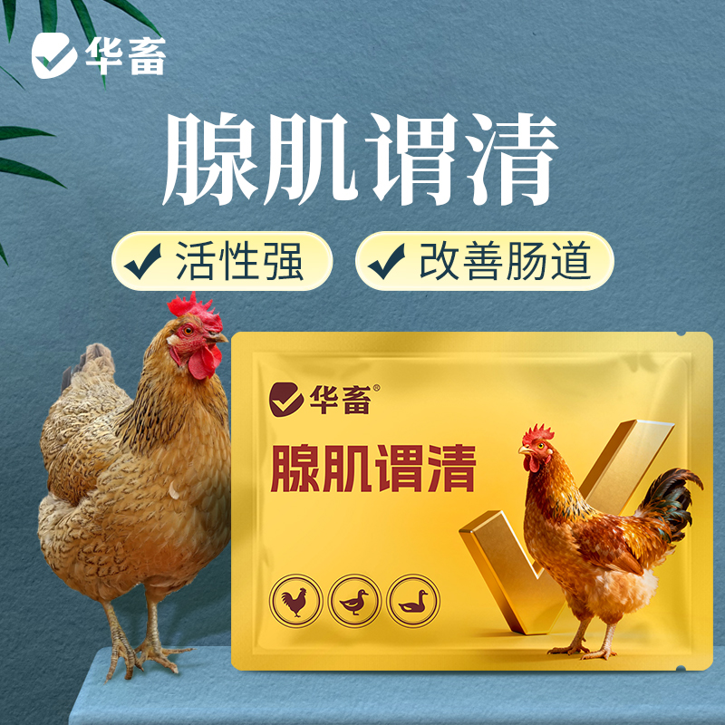 华畜腺肌胃清鸡鸭鹅拉稀白便水便
