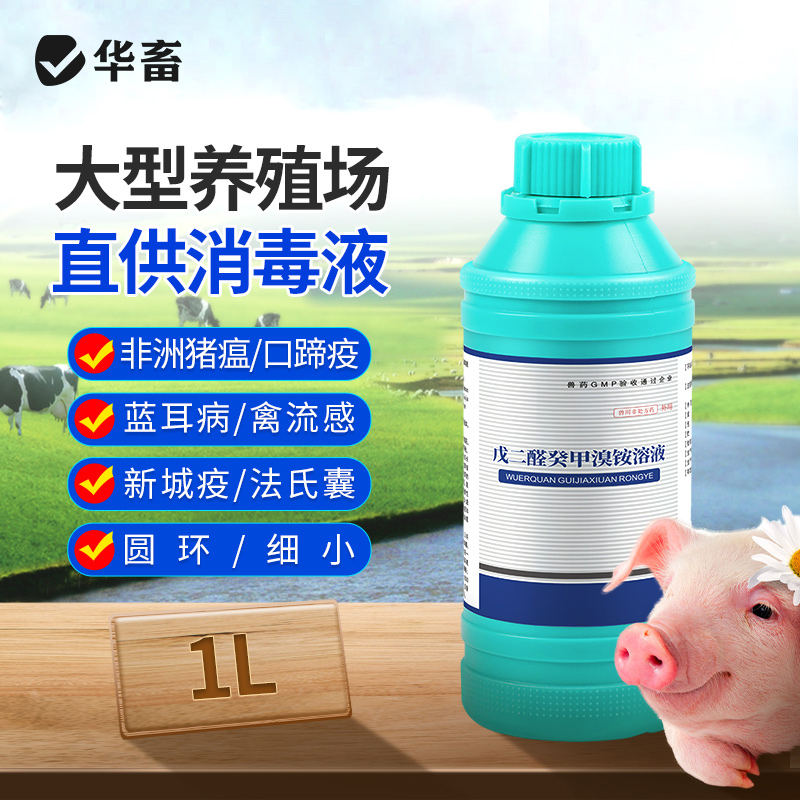 华畜消毒液养殖场专用戊二醛癸甲溴铵溶液鸡舍百毒杀消毒水剂兽用