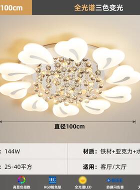 全全光谱厅客灯新款心DG2398/D形主室吸顶灯简约大气护眼屋灯具卧