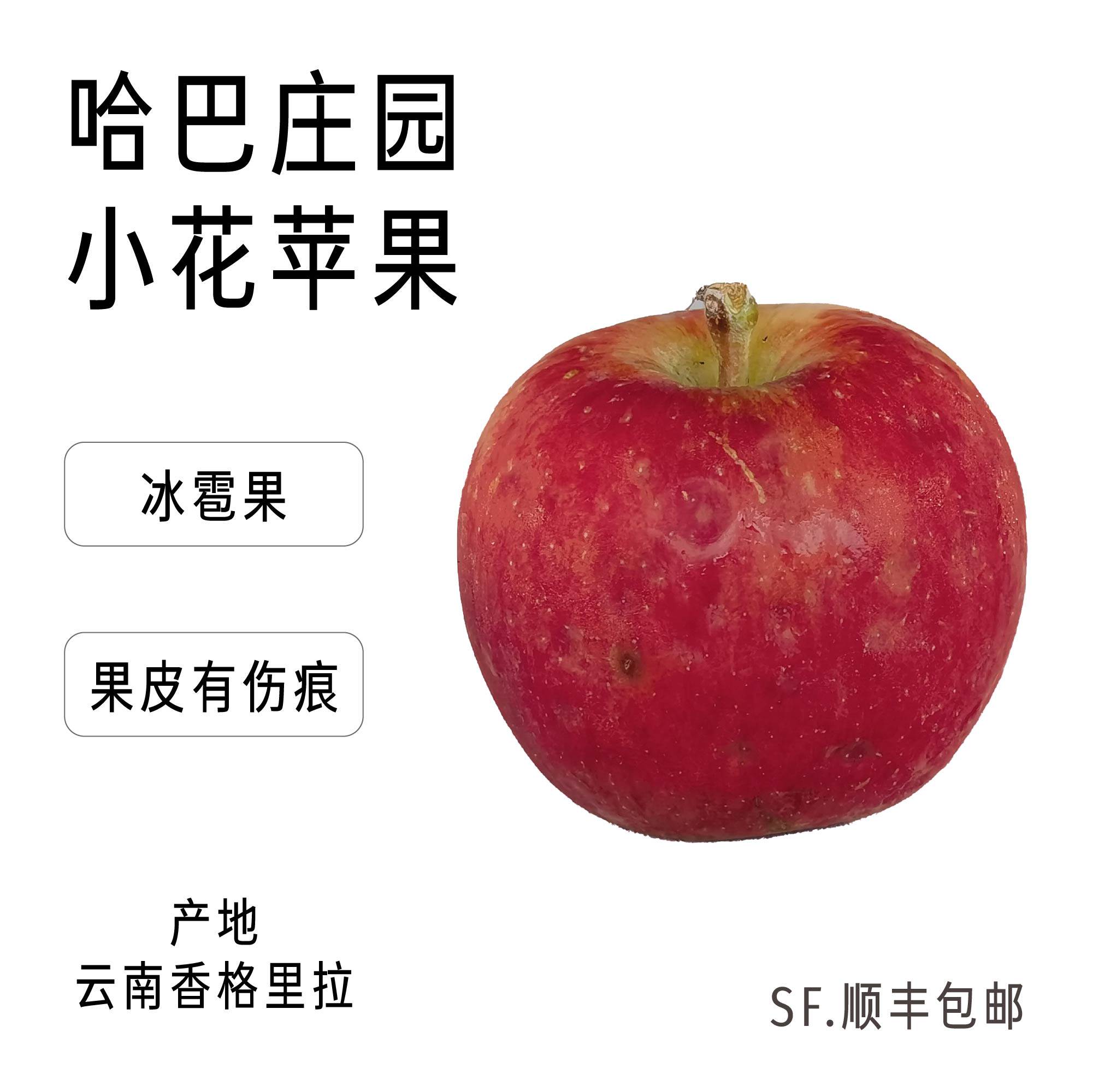 哈巴庄园香格里拉高原小花苹果